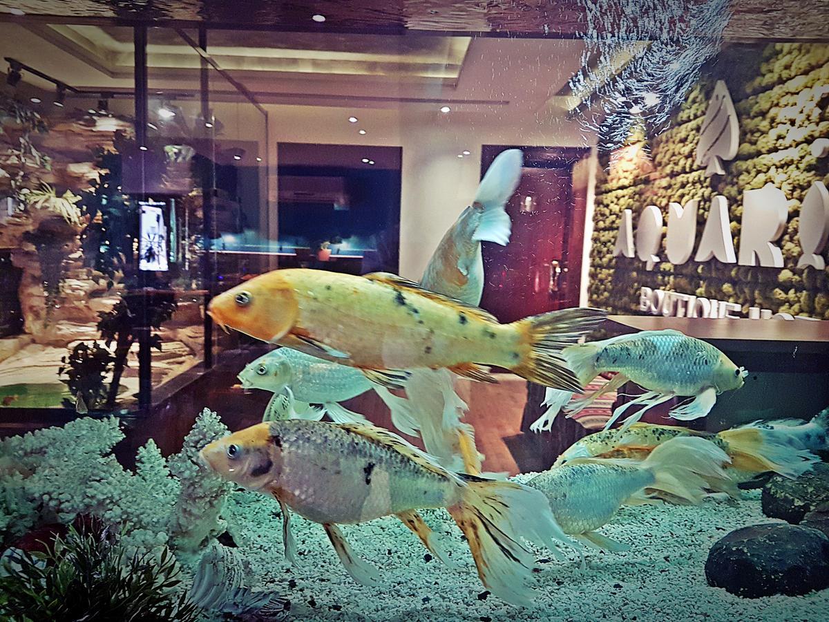 Aquarium Hotel ริยาดห์ ภายนอก รูปภาพ